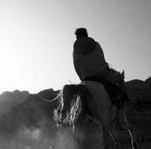 免费DDOS攻击测试工具